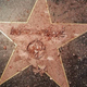 Donald Trump’s destroyed star on the Hollywood Walk of Fame
Twitter